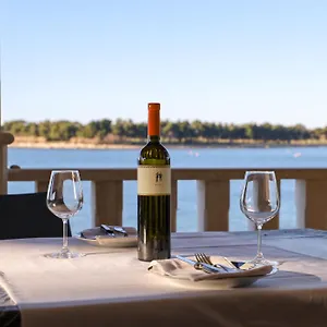 https://rustic-apartment-with-sea-view.in-istria.net